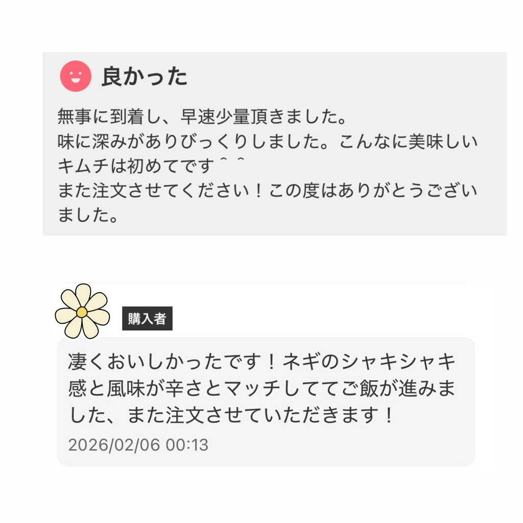 甘辛 ネギキムチ 500g + 甘辛 大根キムチ 430g (税込)　送料無料