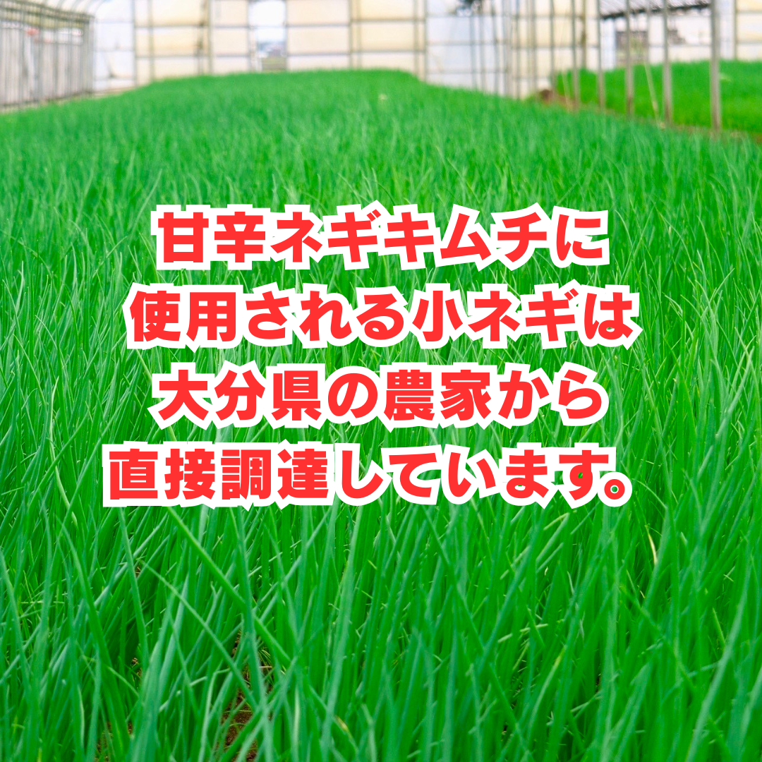 甘辛 ネギキムチ 300g (税込)　送料無料