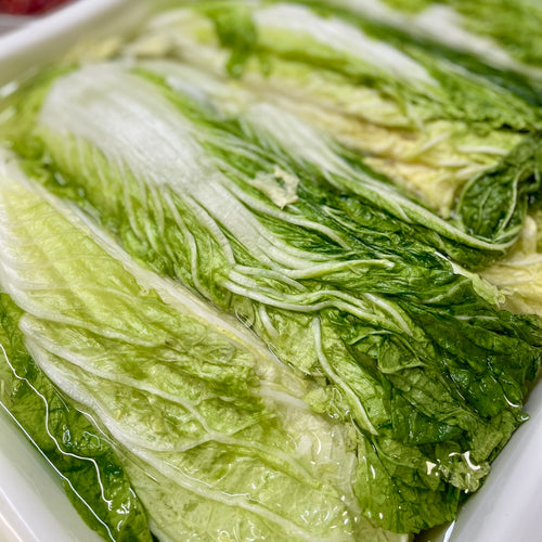 当サイト限定価格 / 全羅道 自家製発酵 白菜キムチ 500g (税込)　送料無料