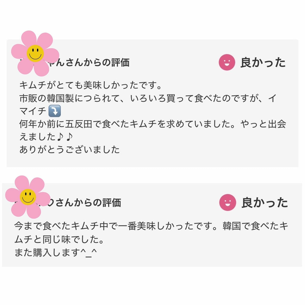 当サイト限定価格 / 全羅道 自家製発酵 白菜キムチ 500g (税込)　送料無料