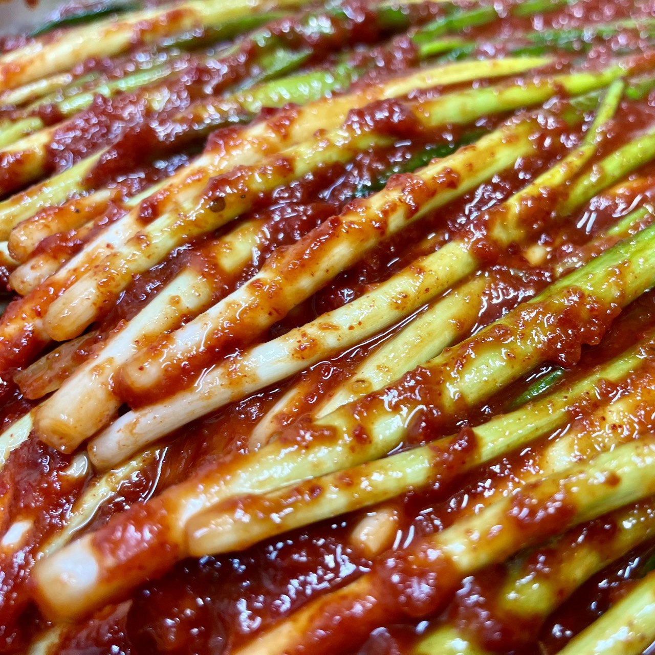 甘辛 ネギキムチ 300g (税込) 送料無料 – 料理長のキムチ｜韓国伝統